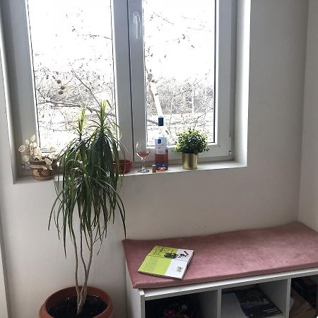 Studio 50 With Terrace Beograd Ngoại thất bức ảnh