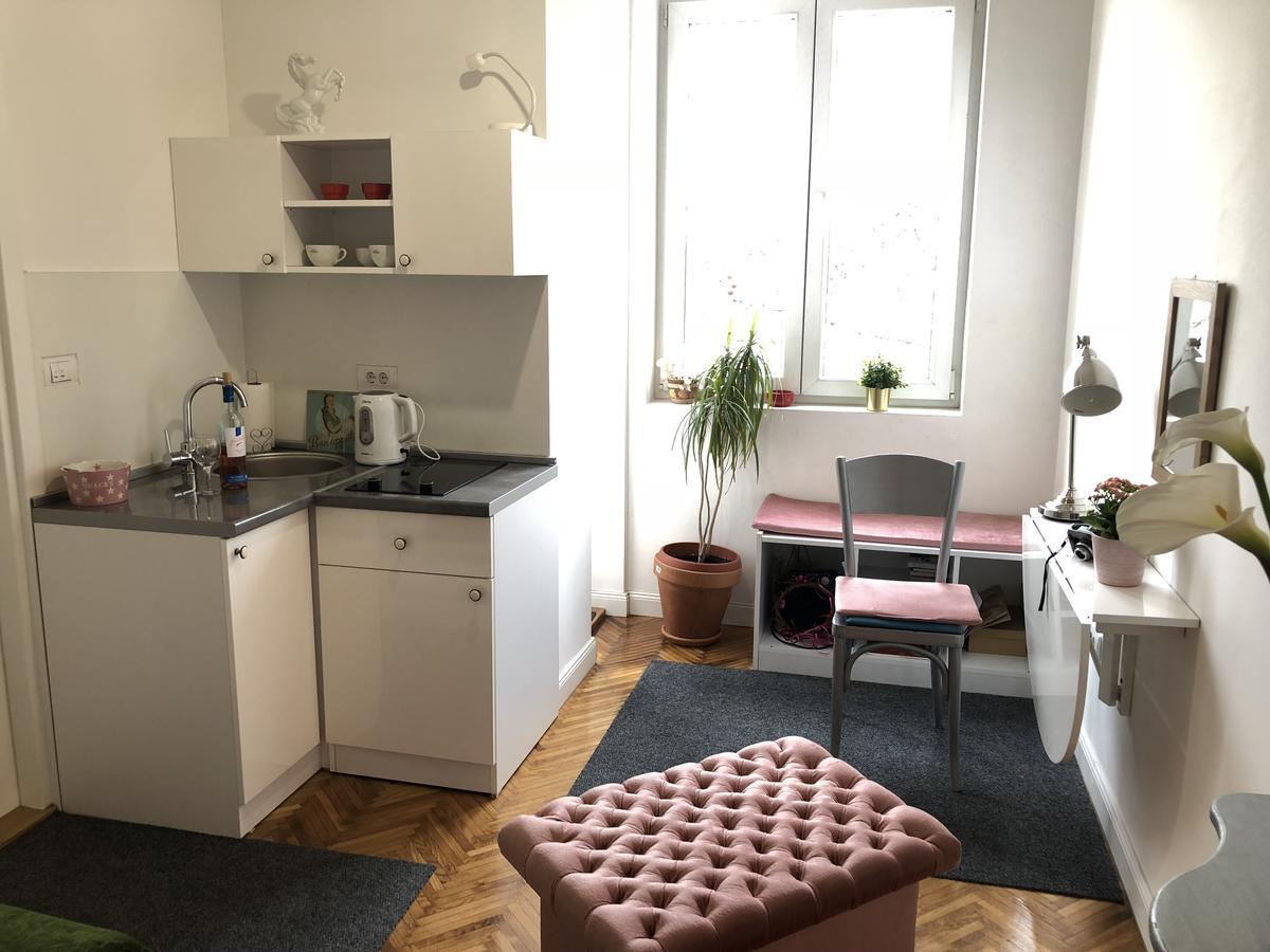 Studio 50 With Terrace Beograd Ngoại thất bức ảnh